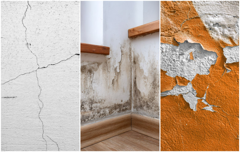 How to Protect Walls from Cracks, Dampness & Peeling: A Complete Guide