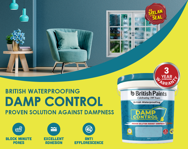 Damp Proofing: Damp Proof Paint Price 20 litre - British Paints